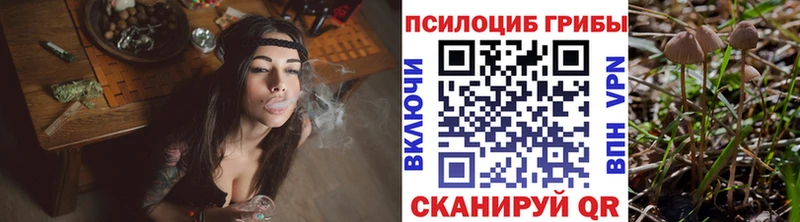 Галлюциногенные грибы Cubensis  сколько стоит  blacksprut зеркало  Калач 